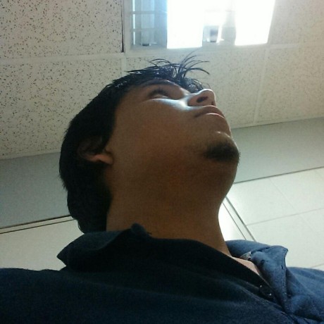 Elvis Chaves Github - Best Gradient Images in 4K