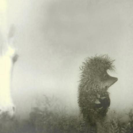 Uiondev Ilia Github - Landscape Arts - Artistic 8K Collection