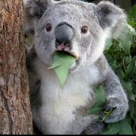 Llgaetanll Gaetan Almela Github - Landscape Patterns - Beautiful HD Collection