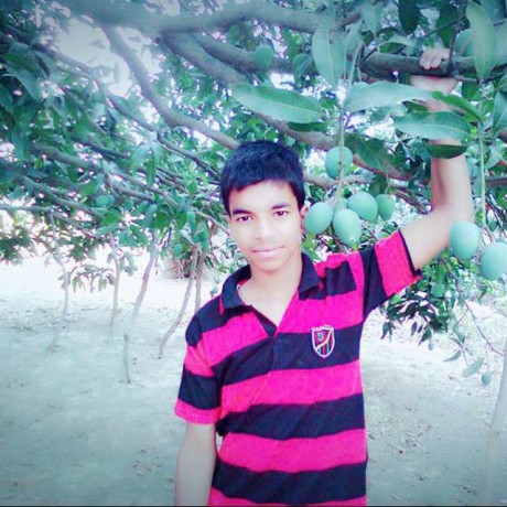 Ratan Github Github - City Illustration Collection - Desktop Quality