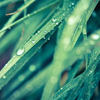 Iwamura Saaya Fork Iwamura Github - Amazing Abstract Photo - Full HD