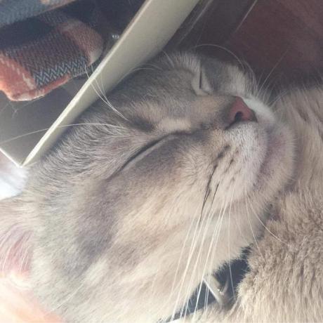 Knguyen Sudo Khue Github - Elegant Gradient Illustration - Ultra HD