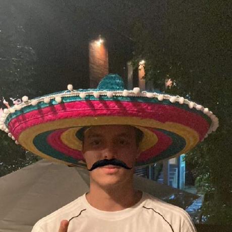 Github Nikolamilosa Sims Proj - Minimal Pictures - Professional Full HD Collection