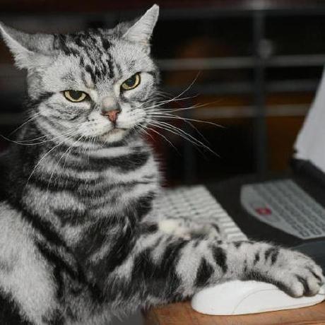 Tohar Ayash Github - Retina Light Wallpapers for Desktop