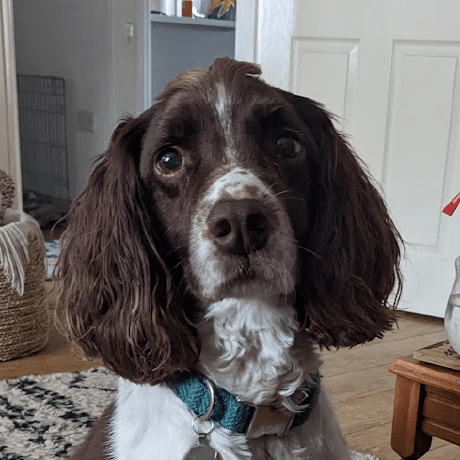 Github Legionaaa Mallardmeta - Premium City Background Gallery - Desktop