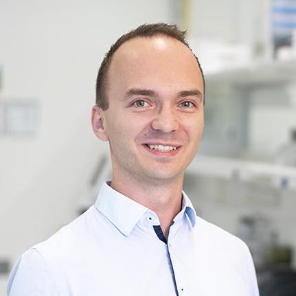 Rohrerph Philipp Rohrer Github - Artistic Desktop Nature Arts | Free Download