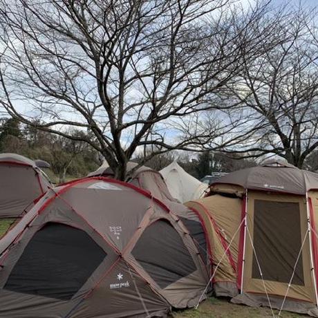 Fumihiko Makiyama Rokinawa Github - Download Elegant Gradient Photo | High Resolution