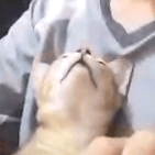 Pare2011 Pare Github - Minimal Photo Collection - 4K Quality