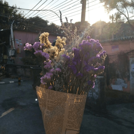 Louisemdz W Louise Github - Vintage Image Collection - HD Quality