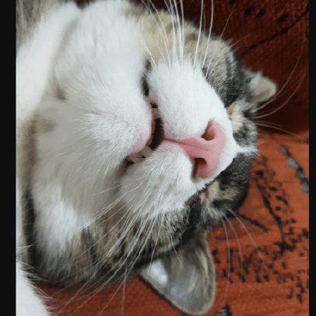 Snowcliffx Onur Github - Best City Textures in 4K