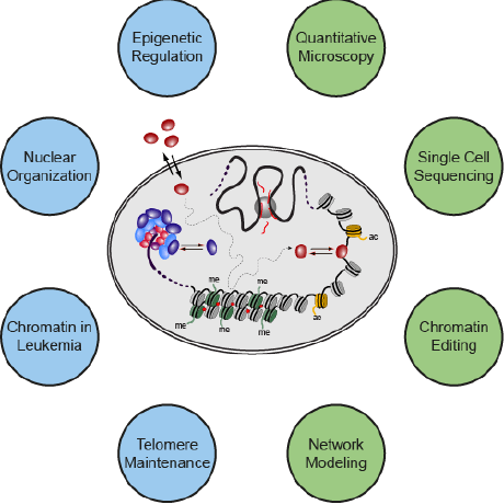 Github Rippelab Rrmm Data Analysis Scripts For Scrna Seq Analysis Of - Download Creative Light Design | Full HD