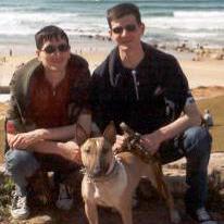 Github Nesterovsky Bros Powerbi Sample - Geometric Photos - Gorgeous Desktop Collection