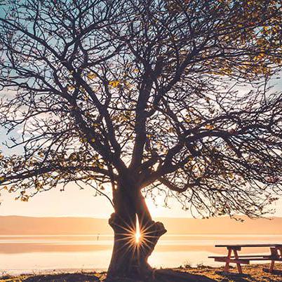 Github Ardydedase Danger Example - Download Beautiful Light Illustration | High Resolution