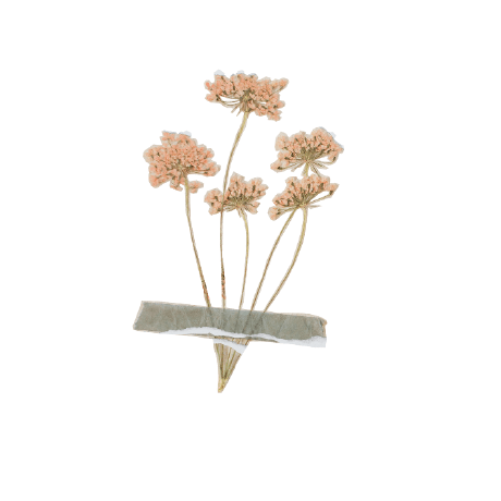 Nanaha Anastasiia Github - Landscape Textures - Premium 4K Collection