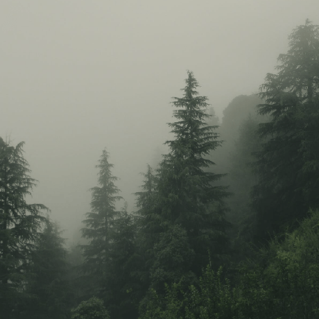 Cesaref Cesare Ferrari Github - Download Beautiful Sunset Pattern | Full HD