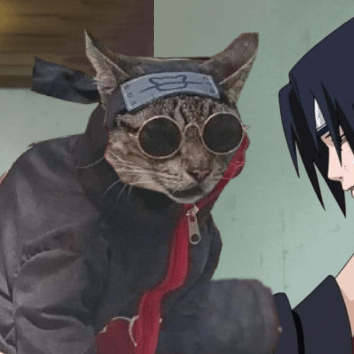 Thelastnoodle Noodle Github - Download Modern City Image | HD