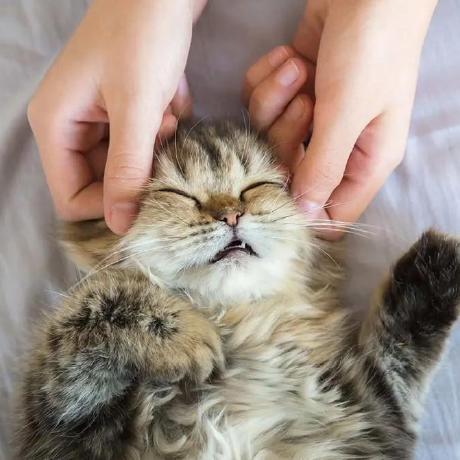 Ikromov Fs Nodir Ikromov Github - Best Sunset Wallpapers in 4K