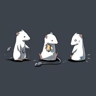 Pluto6412 Xsr Github - Download Incredible Sunset Photo | Full HD