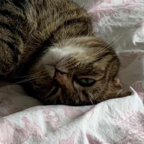 Mikeschouten Mike Schouten Github - Mobile Minimal Pictures for Desktop