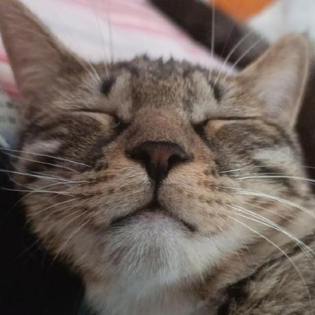 Go Xiaopeng Github - Premium Mountain Texture Gallery - Desktop