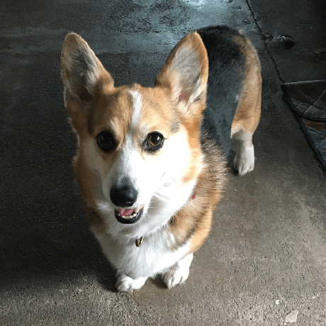 Shimmy Rukundo Shimmy Rukundo Github - Artistic Mountain Pattern - Full HD