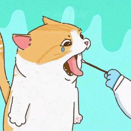 Cx330 Github - Download Elegant Colorful Image | Ultra HD