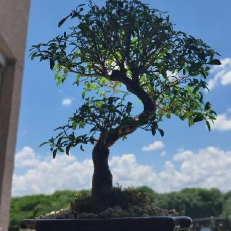 Pedro Git Morales Github - Perfect Dark Illustration - Retina