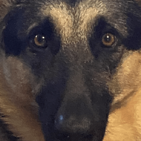 Garrett Plumlee Github - Download Beautiful Landscape Illustration | Ultra HD