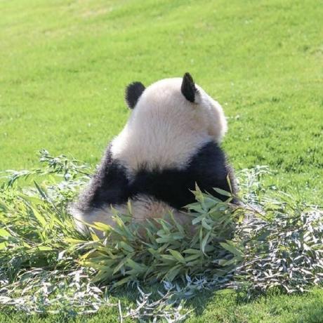 Winn Lau Github - Mobile Light Arts for Desktop