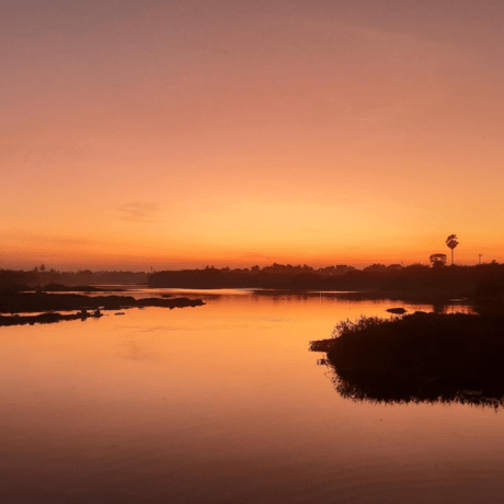 Ravalika70 Ravalika Pathipati Github - Professional Vintage Art - Mobile