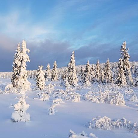 Markusdahlgren Markus Dahlgren Github - Download Amazing Light Texture | HD