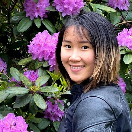 Thuynguyen172 Thuy Nguyen Github - Dark Pattern Collection - High Resolution Quality