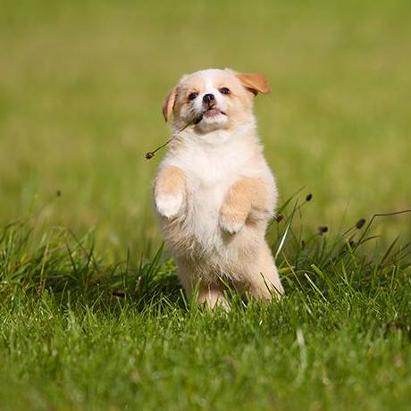 Kms Qwe Mikhail Github - Gradient Patterns - High Quality 8K Collection