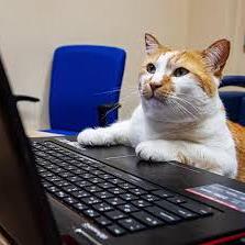 Max Leopold Max Leopold Github - Ocean Wallpaper Collection - 4K Quality