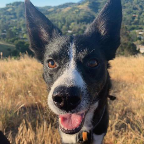 Releases Liaoyf001 Ames Github - Mobile Geometric Illustrations for Desktop