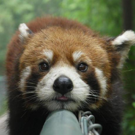 Lokijuhygtfrde Github - Geometric Texture Collection - Ultra HD Quality