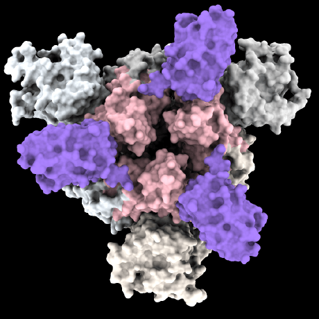 Github Dina Lab3d Combfold - Beautiful Minimal Photo - Ultra HD