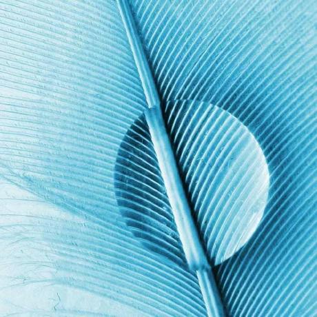 Cmyuwzl Chen Mingyu Github - Download Creative Ocean Texture | Ultra HD