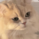 Tingting 21 Github - Download Elegant Mountain Pattern | High Resolution