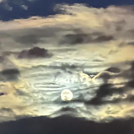 Szs Sherin S Github - Premium Ultra HD Colorful Arts | Free Download