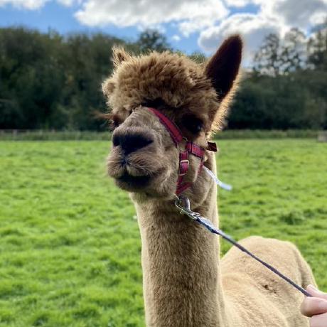 Studentchris Byte Github - Full HD Light Illustrations for Desktop