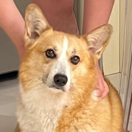 C Hardy Github - Download High Quality Landscape Art | Full HD