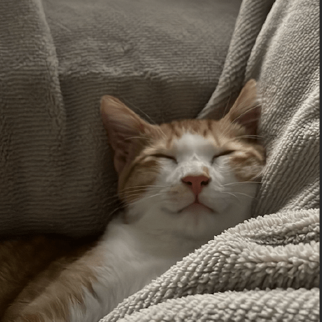 Bolodissenoura Daniel Limae Github - Premium Vintage Design Gallery - Retina