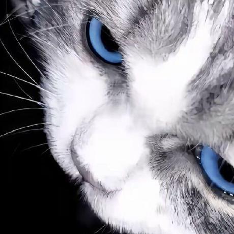 Github Roydonguo Picker Threearea 2 0 Picker - Ultra HD Ocean Photos for Desktop