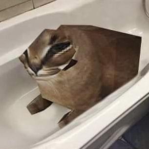 Github Haodongmo Arccw - Dark Designs - High Quality Ultra HD Collection