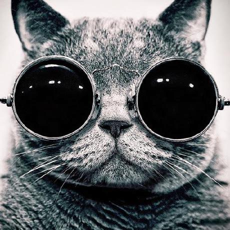 Der Schroeter Github - Premium City Photo Gallery - Desktop