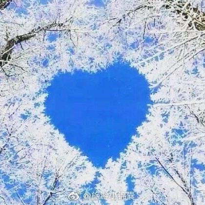 Releases Tidesec Tscanplus Github - Elegant 4K Sunset Designs | Free Download