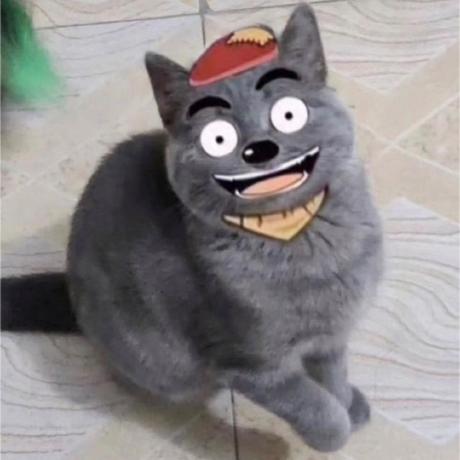 Github Rayhantod Tod - Premium Ocean Wallpaper Gallery - Ultra HD