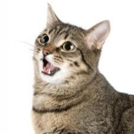 Williamongoing William Johnsson Github - Elegant Retina Light Backgrounds | Free Download