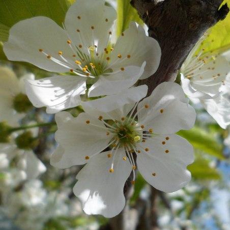 Scientific Software Github Topics Github - Download Modern Abstract Background | Desktop